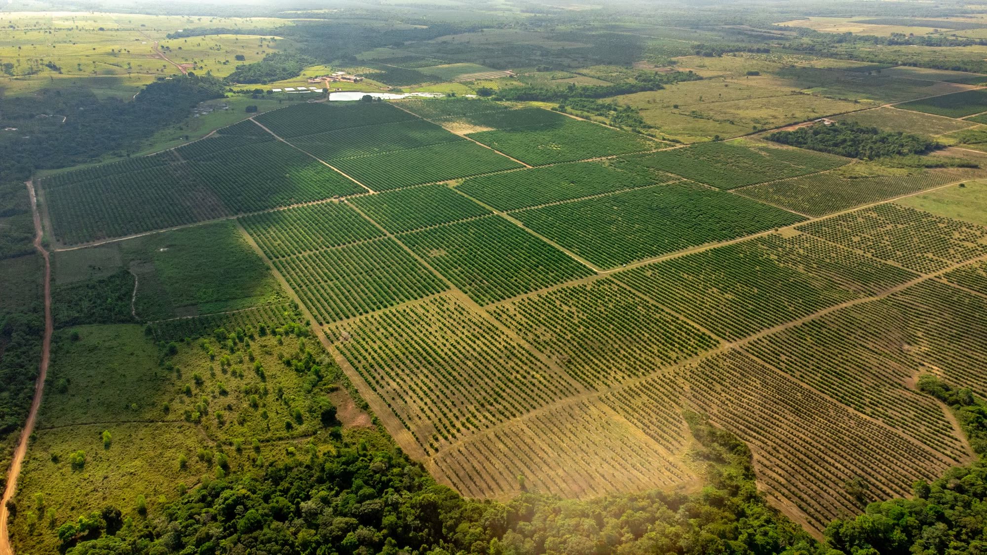 Vista aérea de talhões de lavoura no Pará